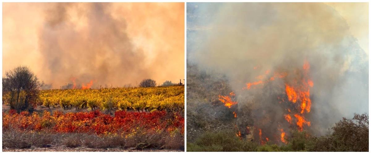 5331475789187919 collage