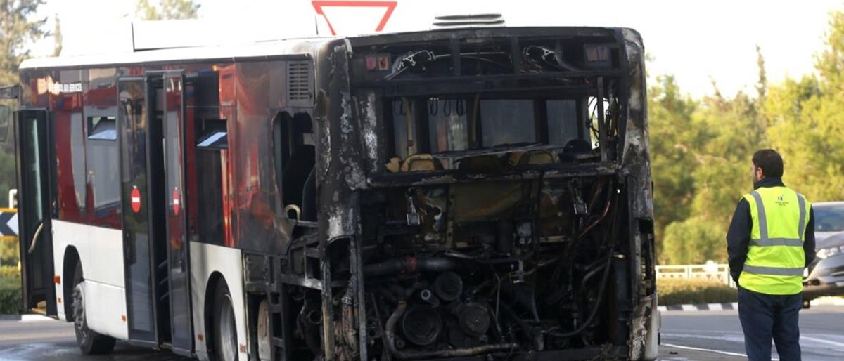 5332269489290682 cats