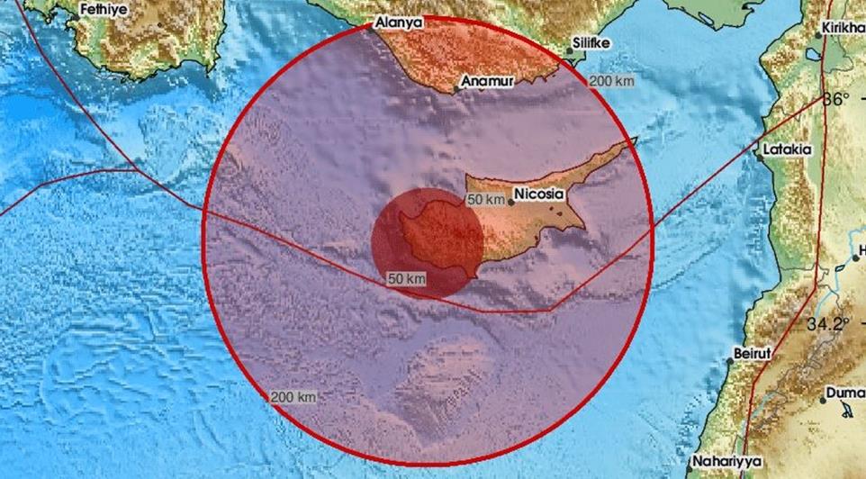 5333025802762997 cats