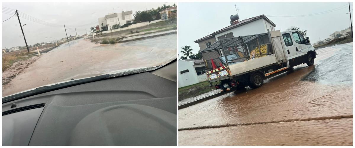 5333154925513984 collage