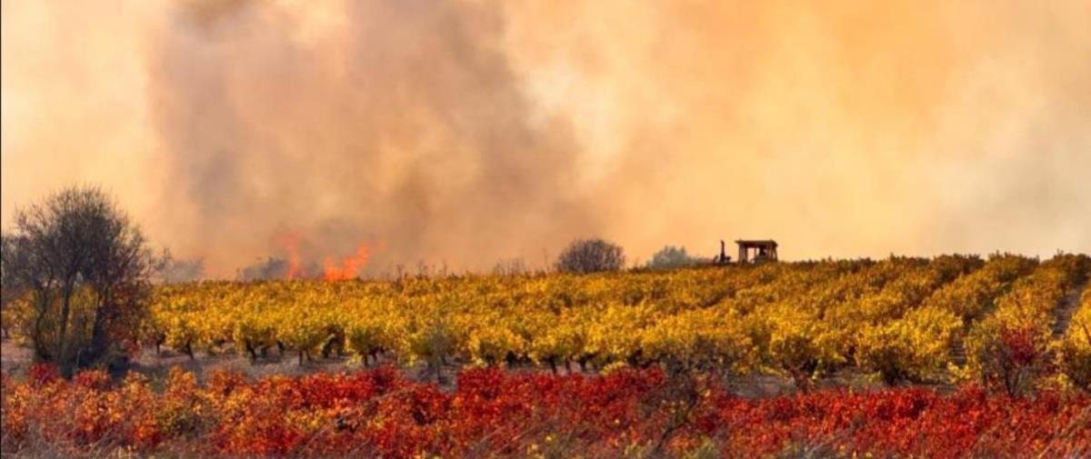 5333211810733919 cache 980x980 Analog medium 1353544 710513 25 11 23 163334