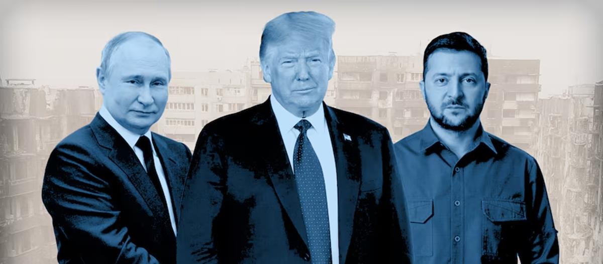 5333737213024044 cats