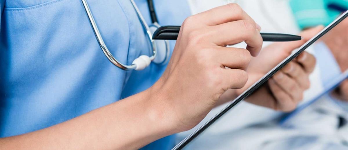 5333855937147198 cats