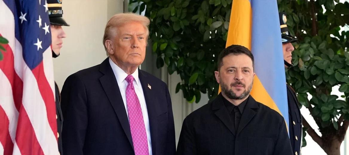 5333940048733901 cats