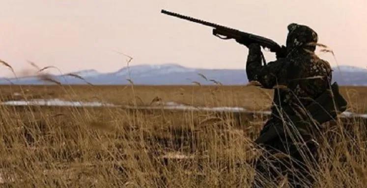 5334932989384607 image