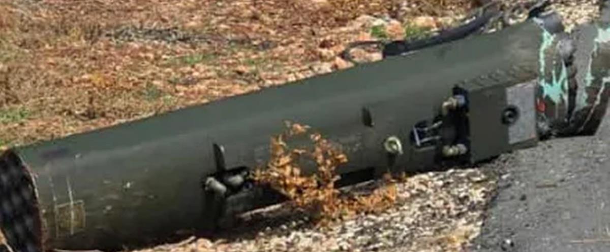 5334935843926941 cats