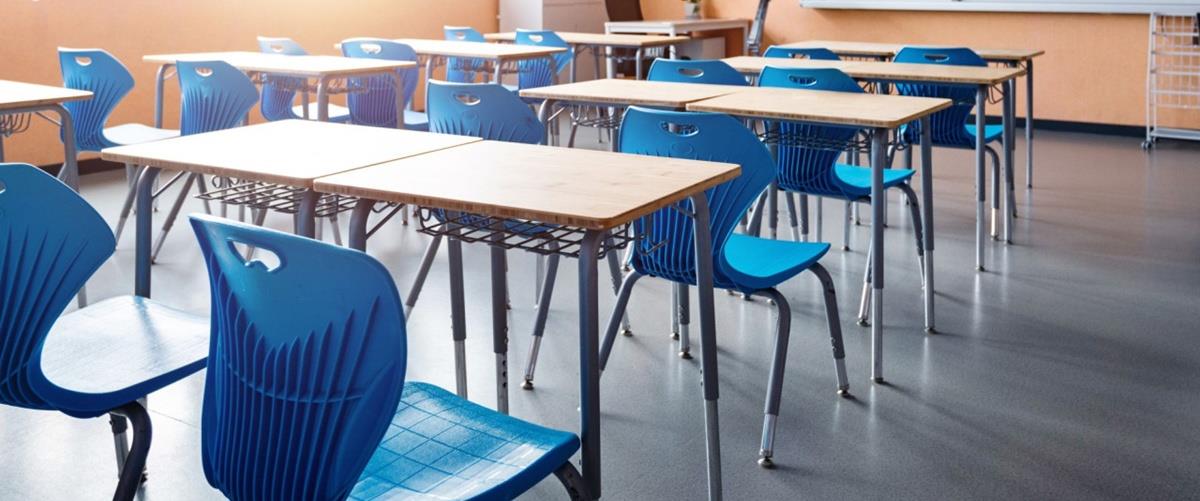 5335057136778768 cats