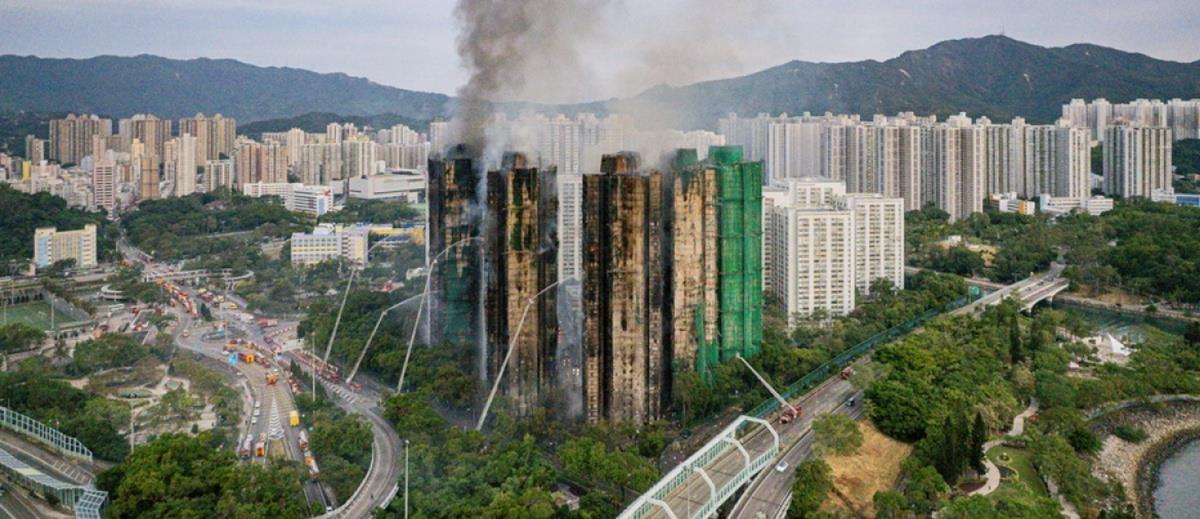 5335089918365812 cats