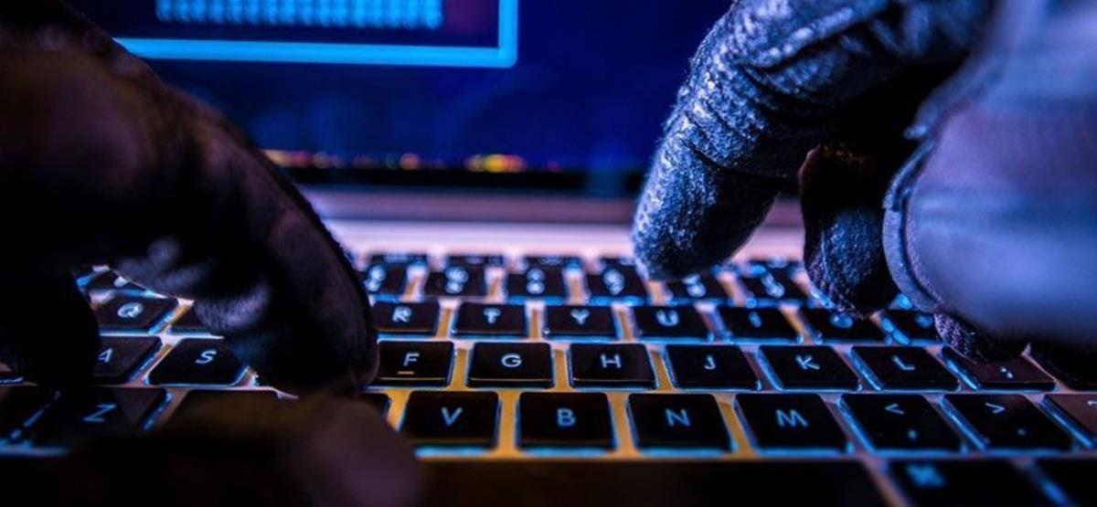 5336347697954041 cats