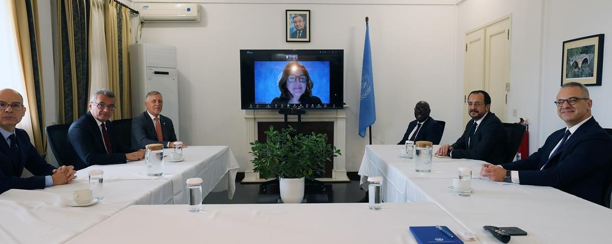 5336493648585542 cats