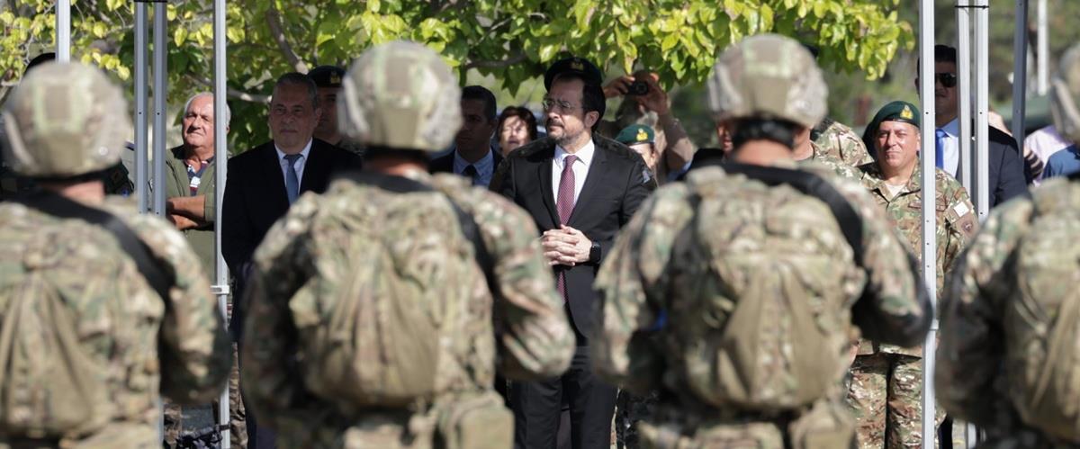 5336504155113066 cats