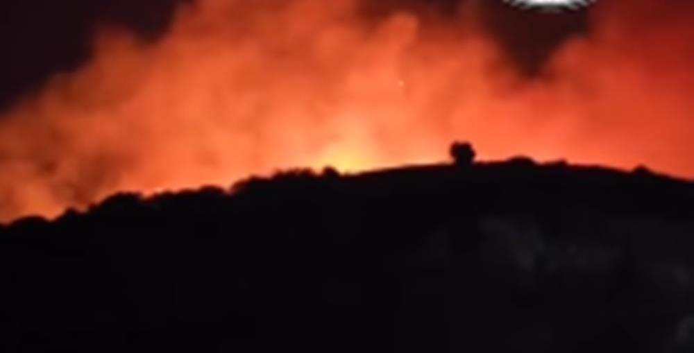 5336764697846587 cats