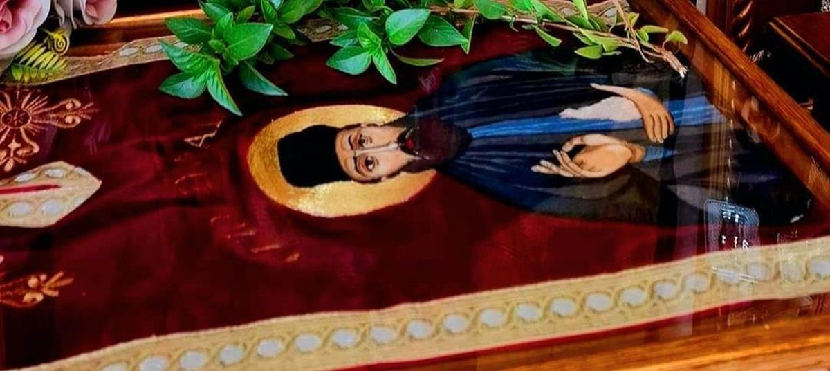 5336795186786202 image