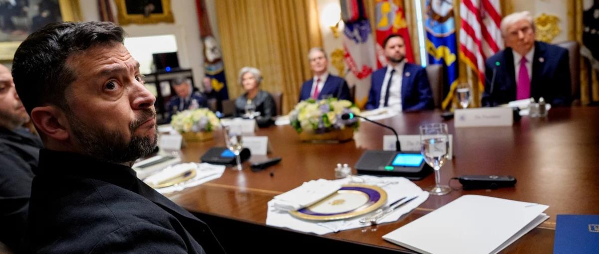 5338050971546480 cats