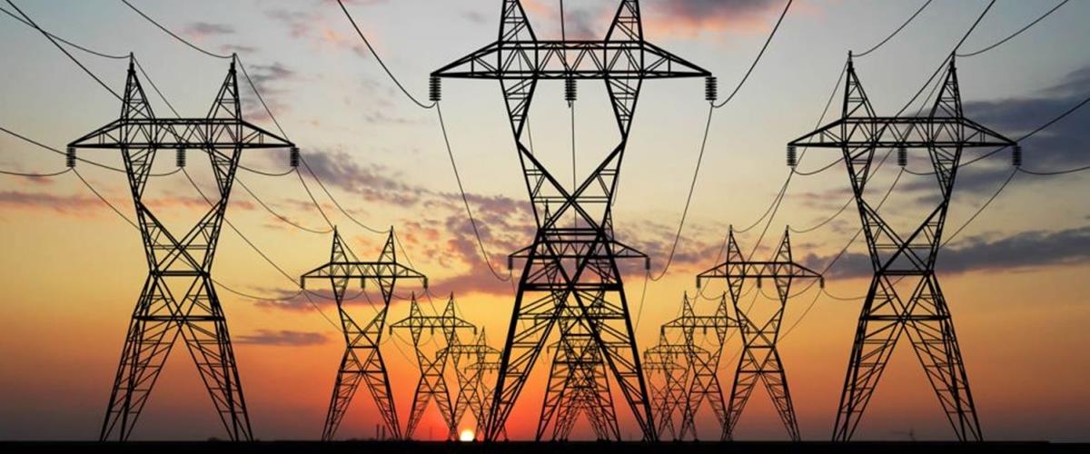 5338200977198672 cats