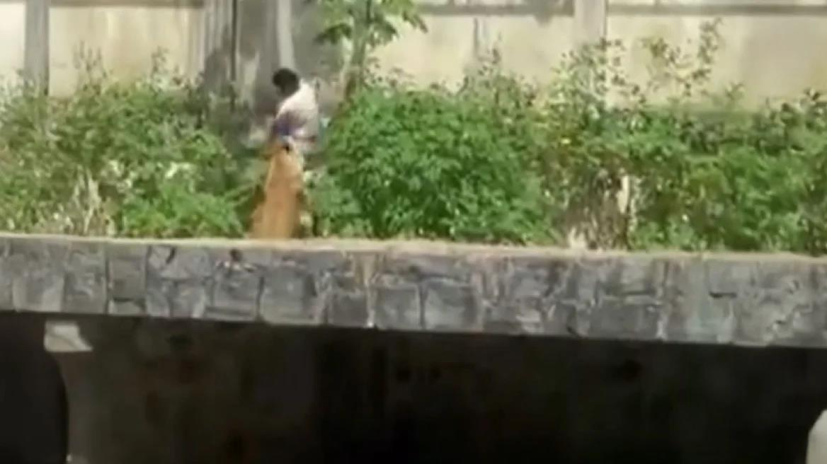 5338250656316509 image