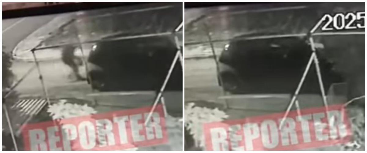 5339407803385762 collage