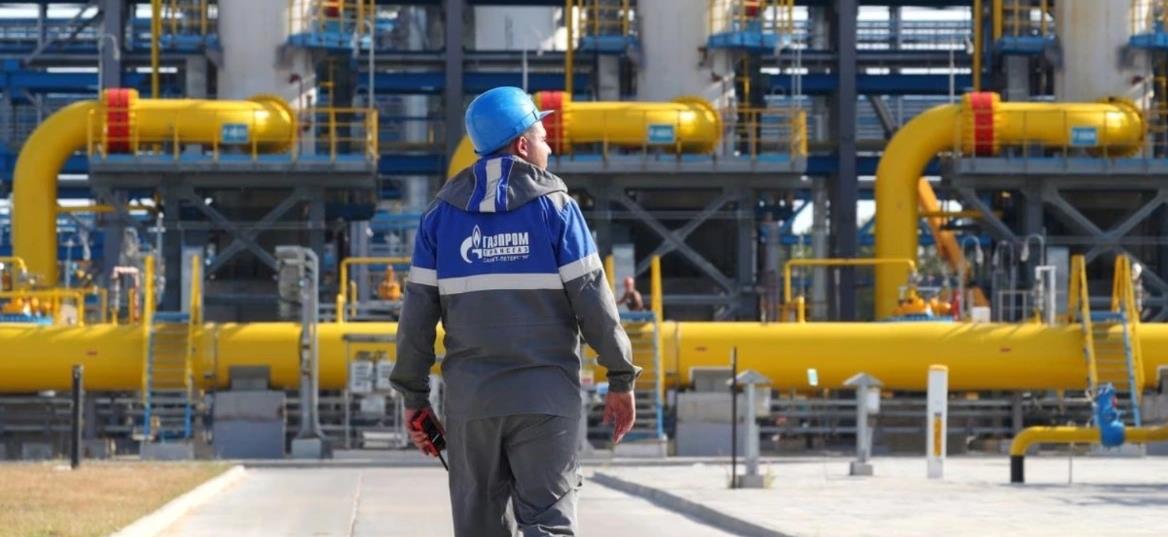 5339780687305102 cats