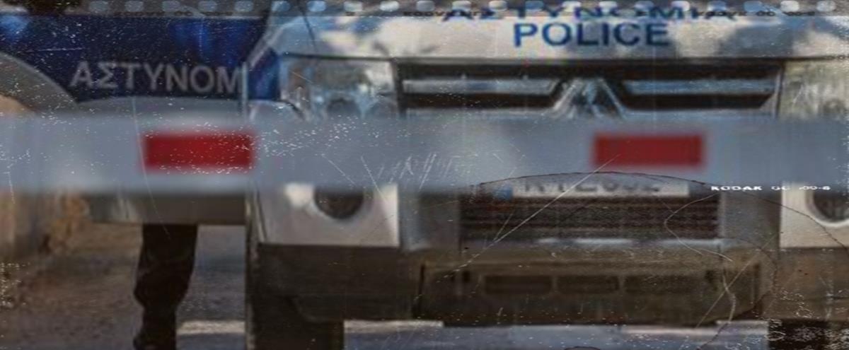 5339888918383117 cats