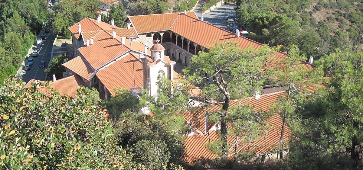 5339933446764538 cats