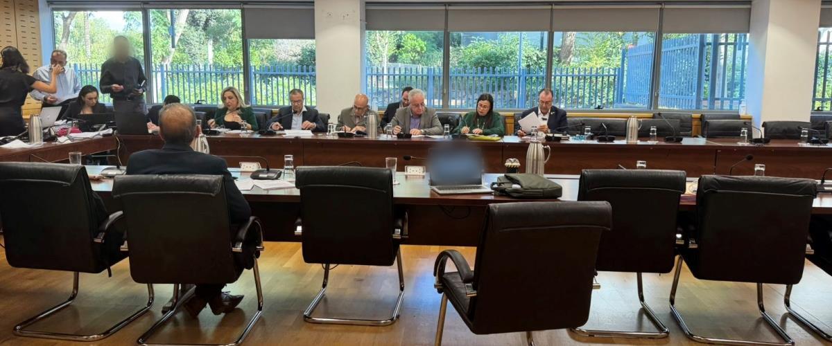 5340345479697303 image