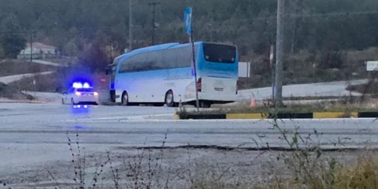 5340879223136401 image