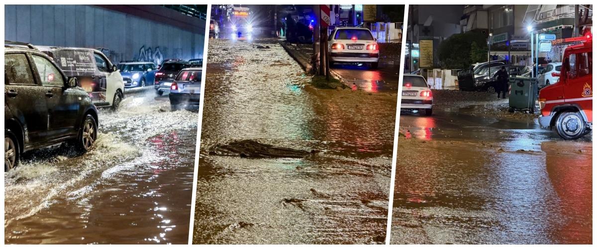 5341508791199319 collage