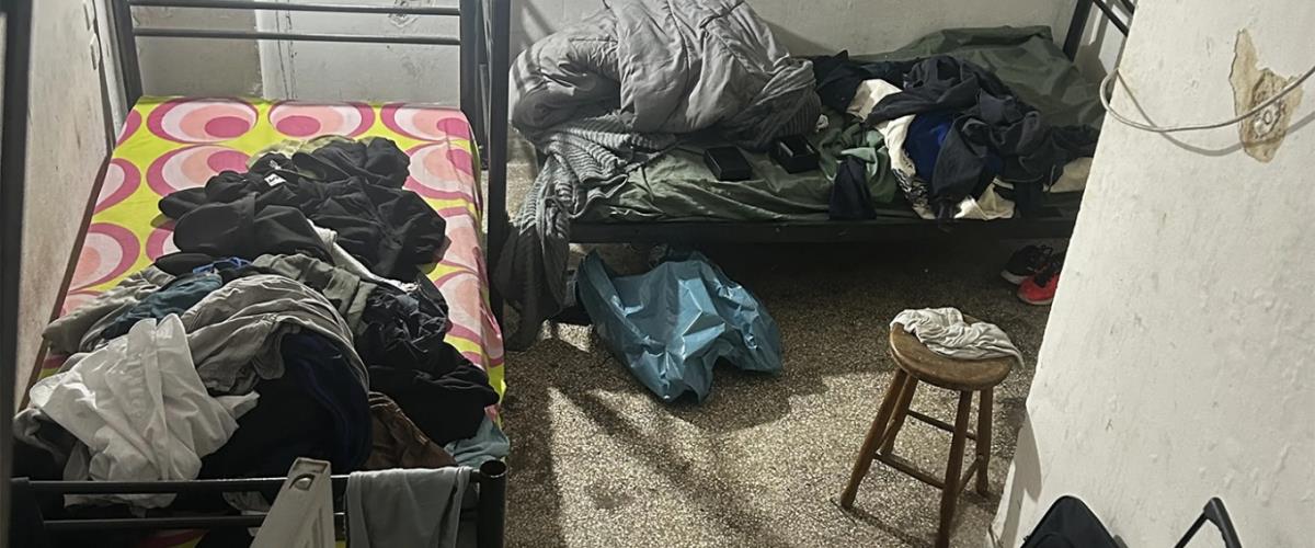 5341674084421986 organwsi-4