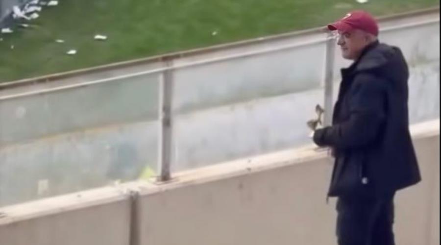 5341790195328541 ael-filos