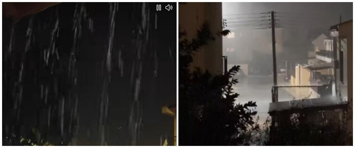 5342356191091981 collage