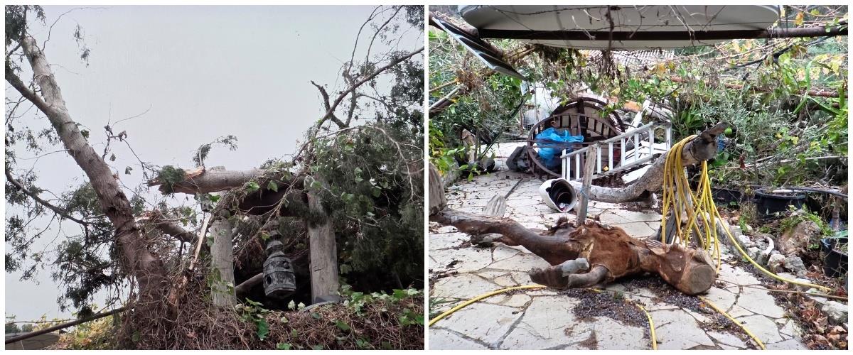 5342596948401378 collage