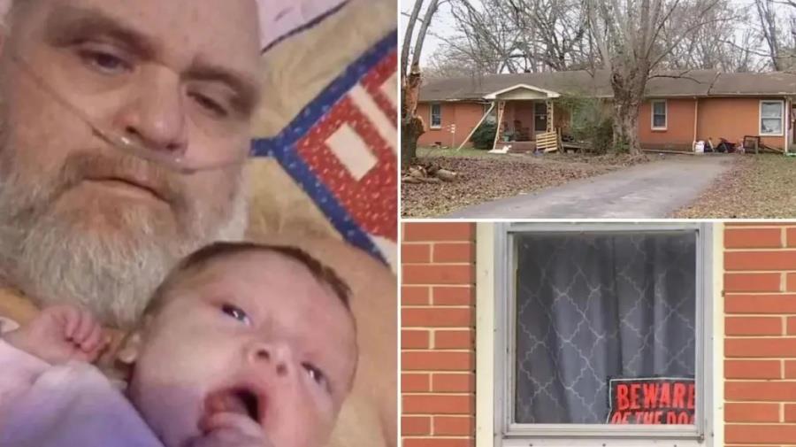 5342610129565090 pitbul tenessi