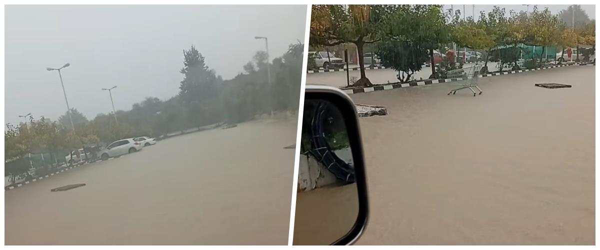 5343459793994936 collage