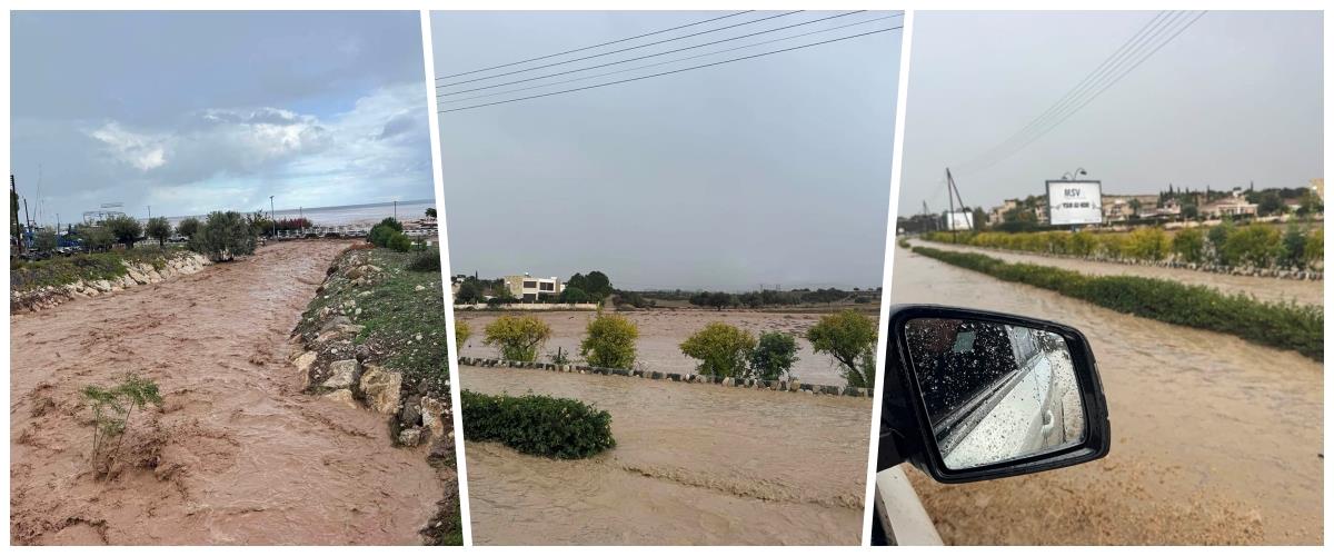 5343511986738643 collage