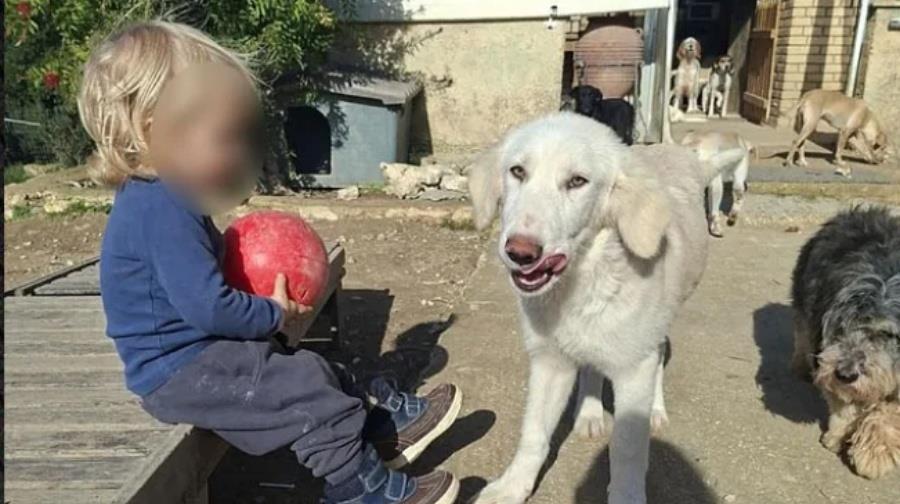 5344326897867812 arthrou-paidaki