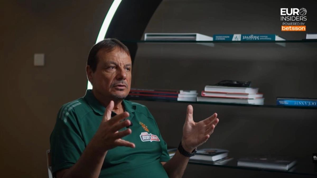 5344572900150275 image