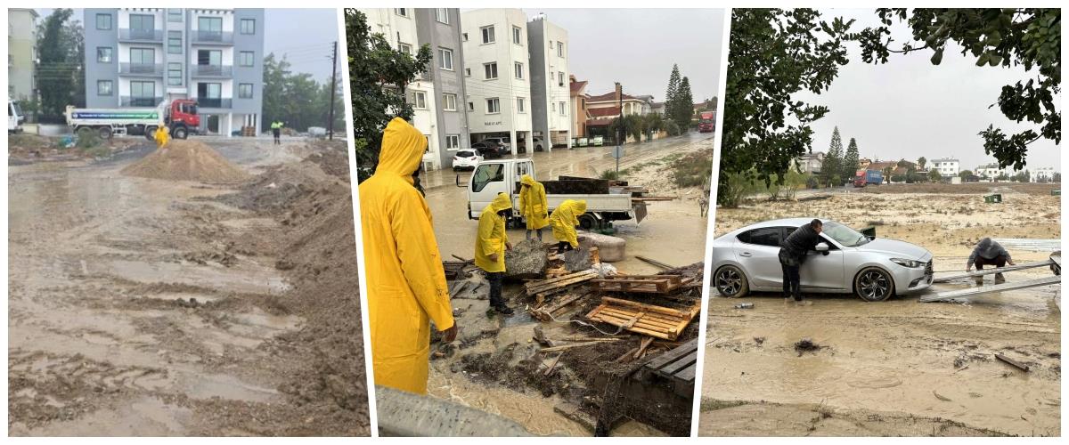 5345094459313263 collage