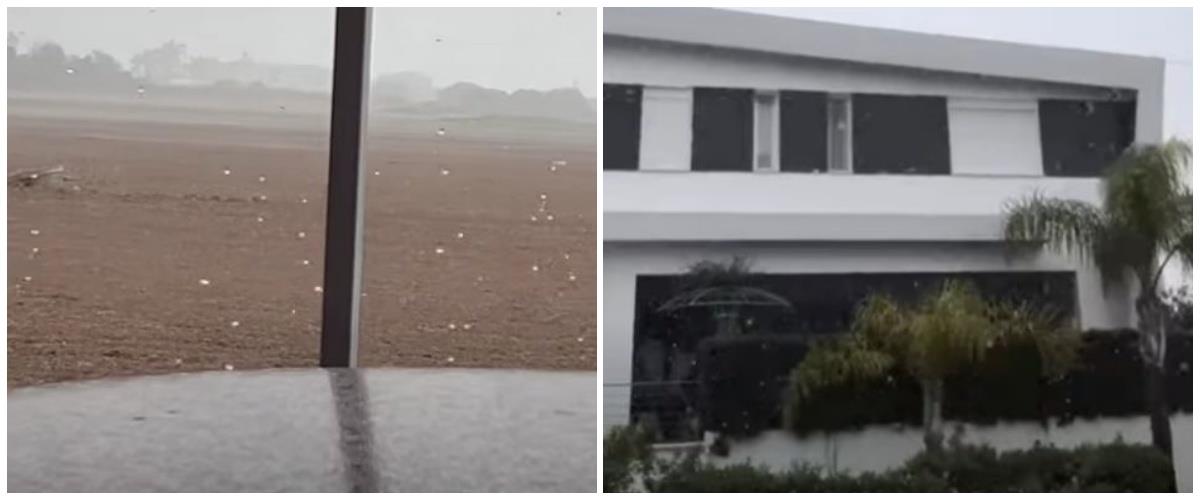 5345292683438319 collage