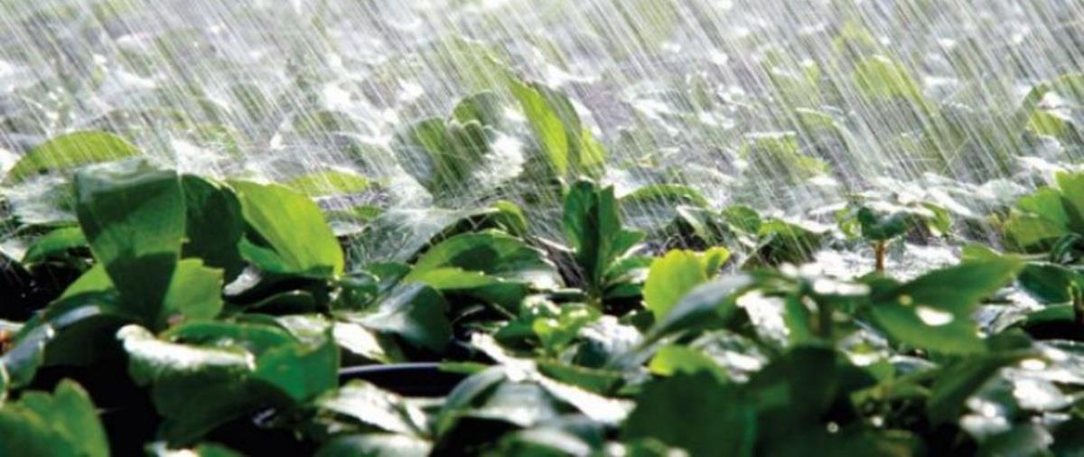 5345317702995630 c987a1b31fd3f1f08322280ca0954f48 L