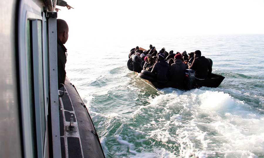 5345331751972728 b bee