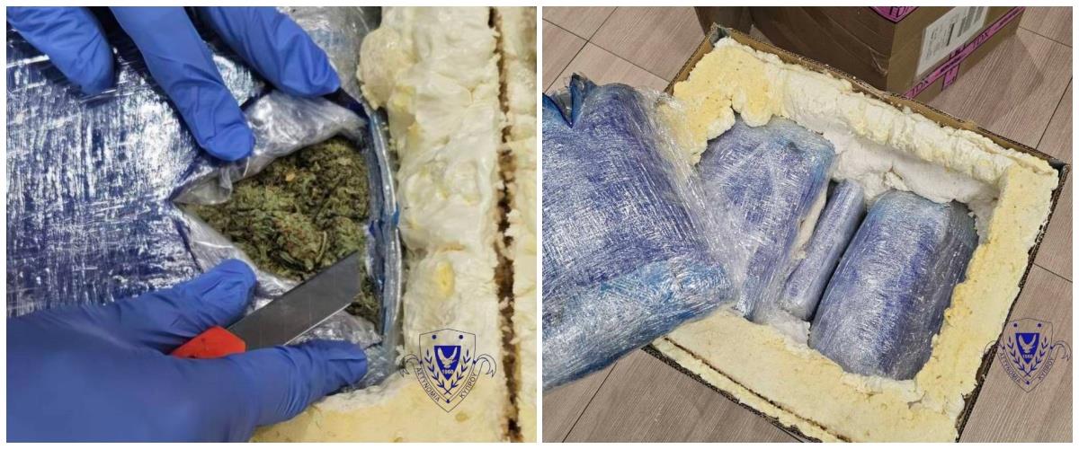 5345339650184526 collage