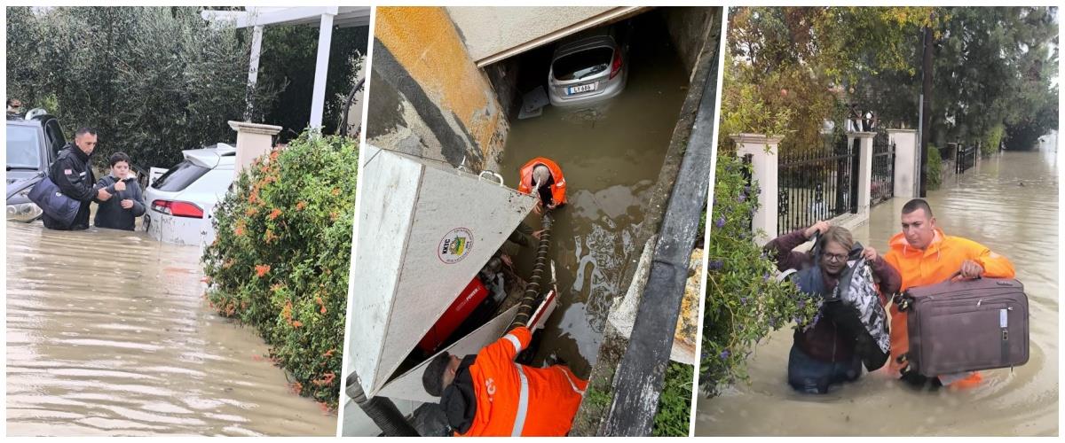 5345345282161252 collage