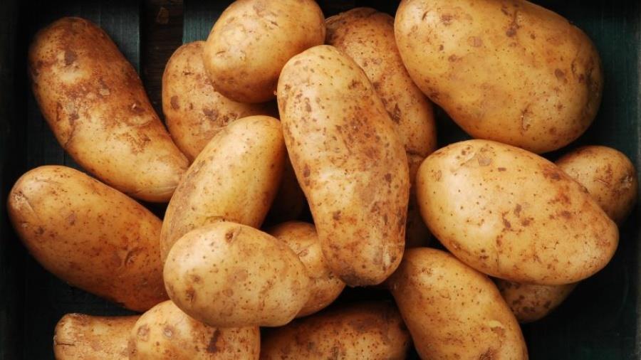 5345352811396641 b patates orf