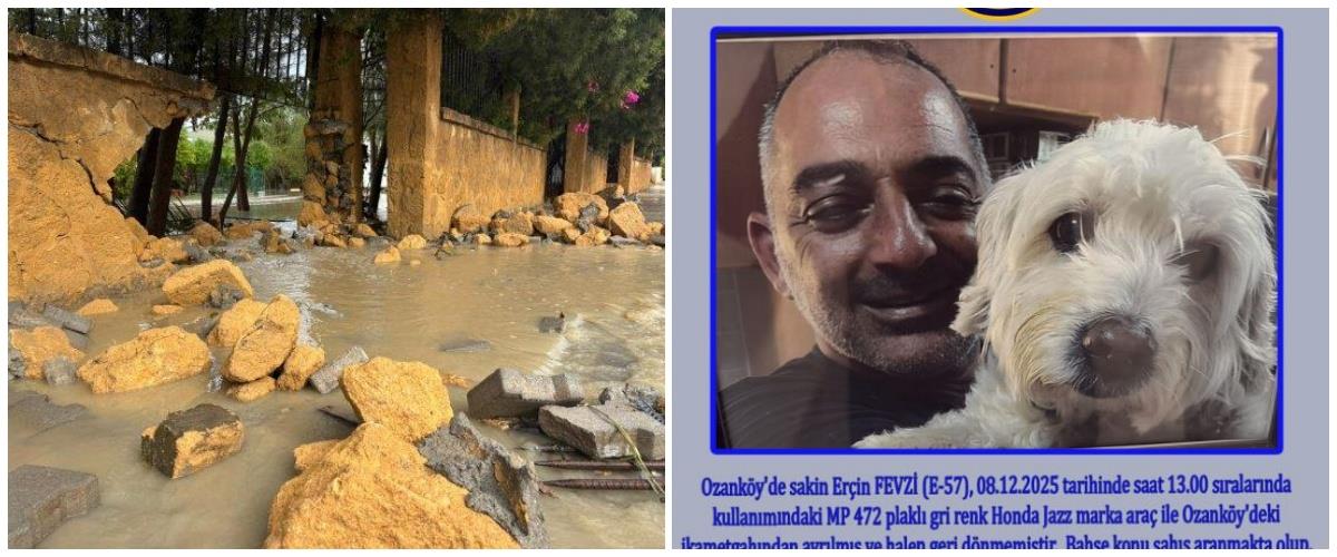 5345369295665452 collage