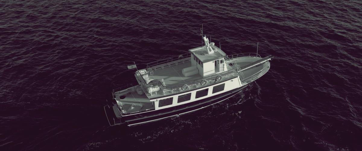 5345879118436409 SaCalmaNight det1 X