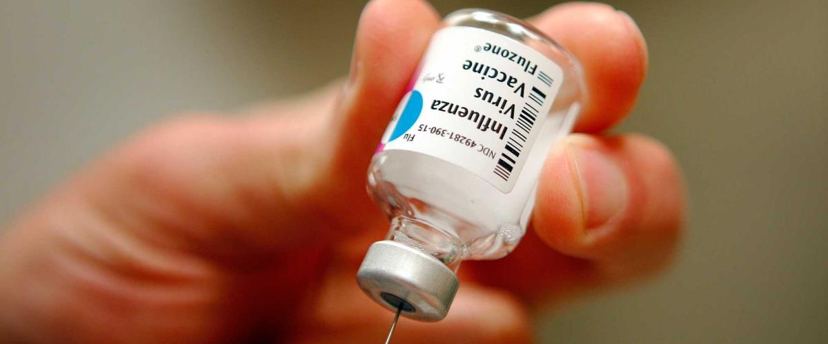 5346185014283509 gripi