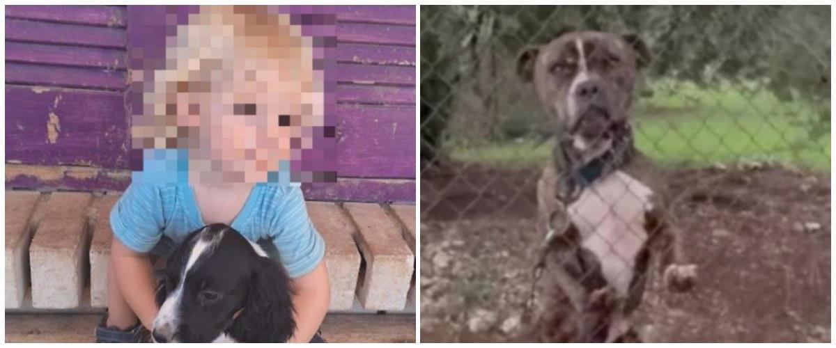 5347035021721755 collage