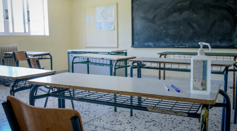 5347052612053905 sholeia