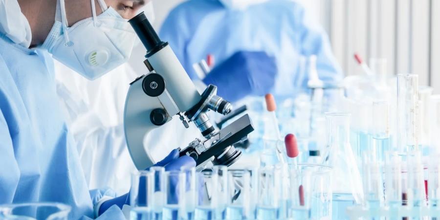 5348070147377177 ereuna-ergastirio