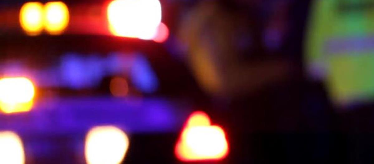 5349294128855127 cats